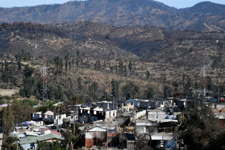 Columna de Pedro Fierro: Más allá de la vulnerabilidad