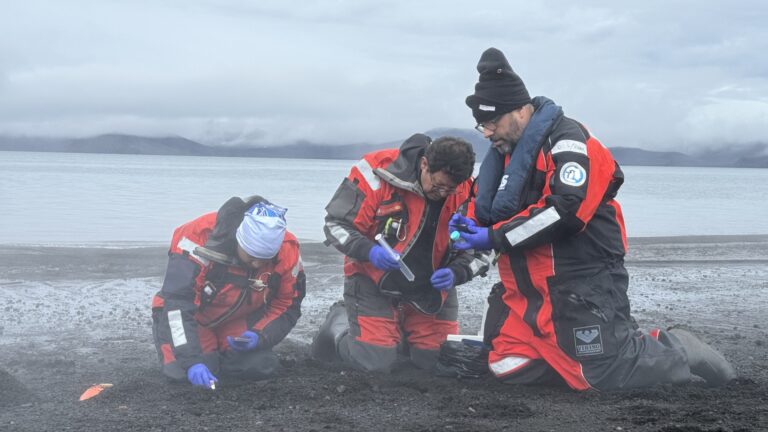 Investigación en la Antártica estudia microorganismos que podrían ayudar a desarrollar aditivos naturales por primera vez en Chile