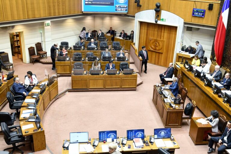 Columna de Ingrid Olea: Educación pública, ¿qué entiende el Senado por sentido de urgencia?