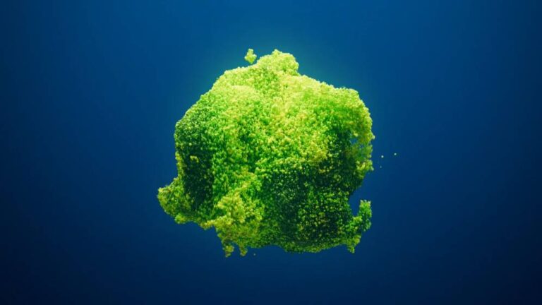 Nuevos estudios resaltan la importancia de la microbiota en el desarrollo neurocognitivo