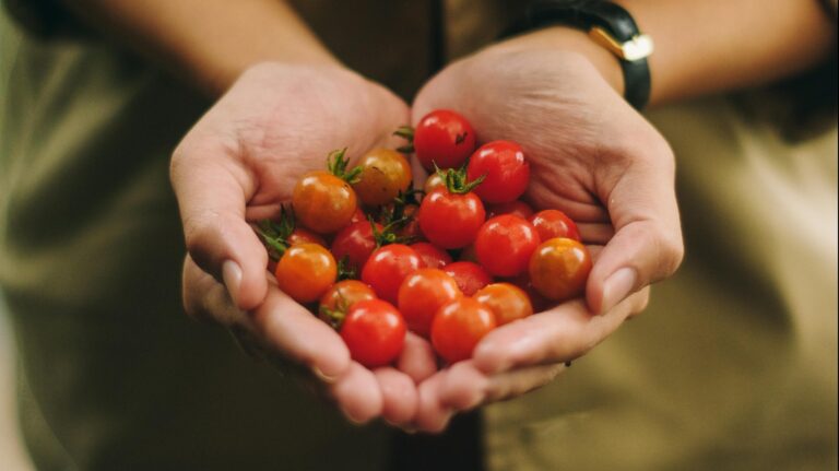 Atención pymes y ONGs: Premio Zayed a la Sostenibilidad entregará un total de 5,9 millones de dólares