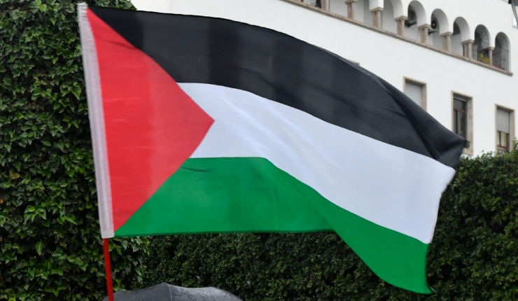 Estado de Palestina celebra adhesión de Chile a denuncia contra Israel por caso de genocidio en Gaza
