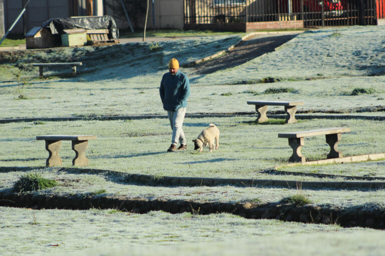 Declaran alerta temprana preventiva por heladas en la Región de O′Higgins