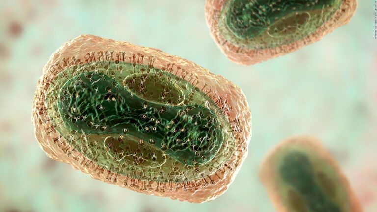 OMS advierte que la viruela del mono sigue siendo una amenaza sanitaria mundial