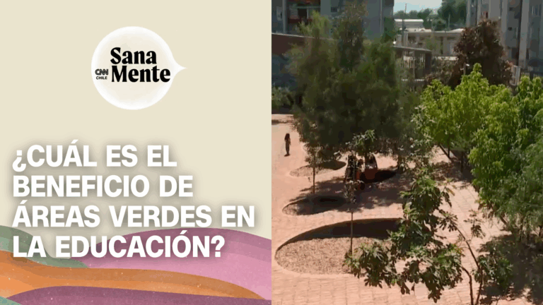 Patio Vivo: Iniciativa busca beneficiar a estudiantes con la transformación de espacios