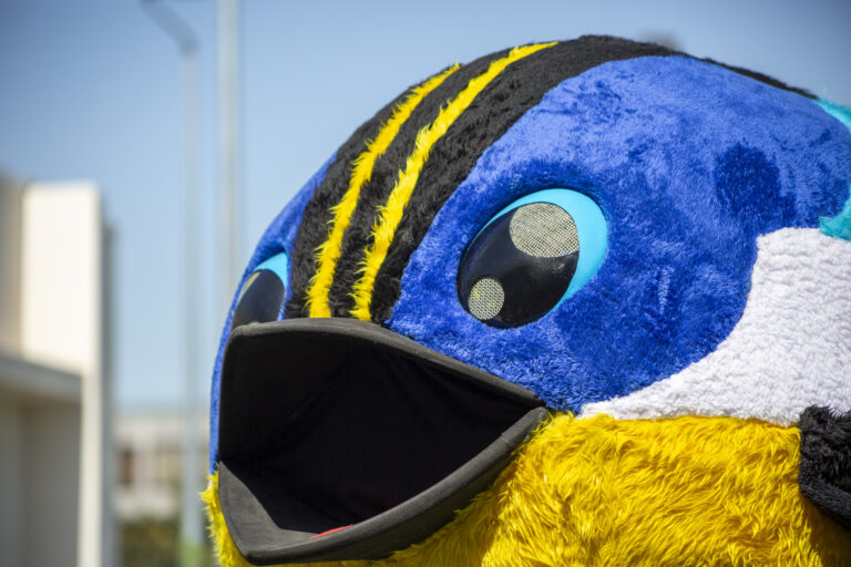 “Cuando Chile se encontró