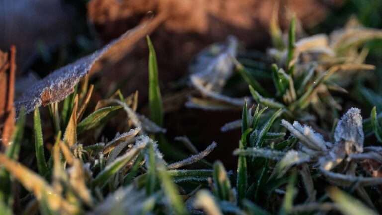Advertencia por heladas en seis regiones: Las temperaturas podrían llegar hasta los -4° C
