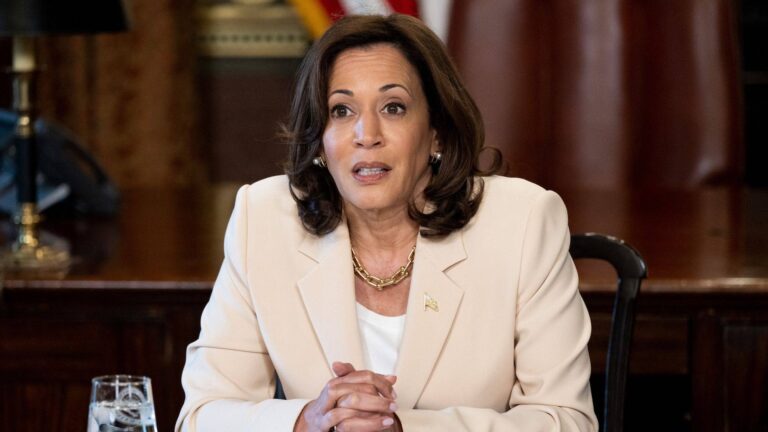 Kamala Harris redefine el mapa electoral de 2024 con su ascenso en el Partido Demócrata
