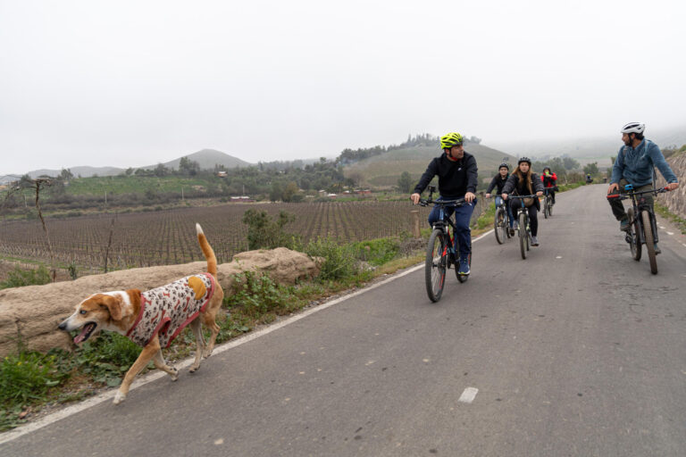 La apuesta por un turismo sostenible y pausado en el Valle del Elqui