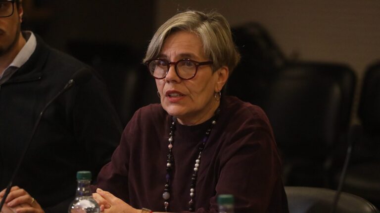 Diputada Fries calificó de 