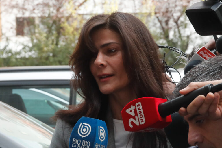 Tonka Tomicic en problemas: Enfrenta peticiones de liquidacion forzosa por parte de los Bancos Santander y Chile por deuda superior a $180 millones