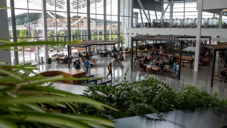 Nvidia tiene más que miles de millones de dólares en valor que perder si sus acciones siguen cayendo