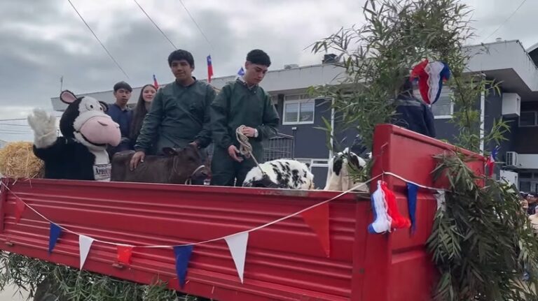 Tractores, vacas y fardos de pasto: La “parada alternativa” sureña que se hizo viral en TikTok