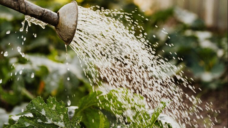 ¿Es posible mejorar la eficiencia en el uso de agua? La solución de esta empresa ya demostró que sí