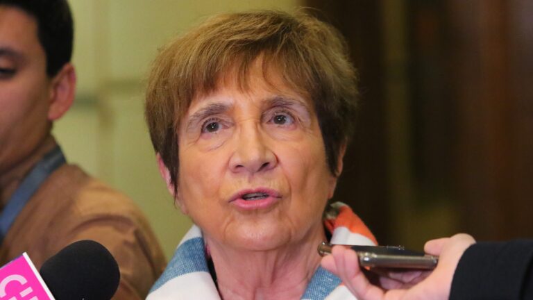 Diputada Hertz salió en defensa de Sergio Muñoz: 