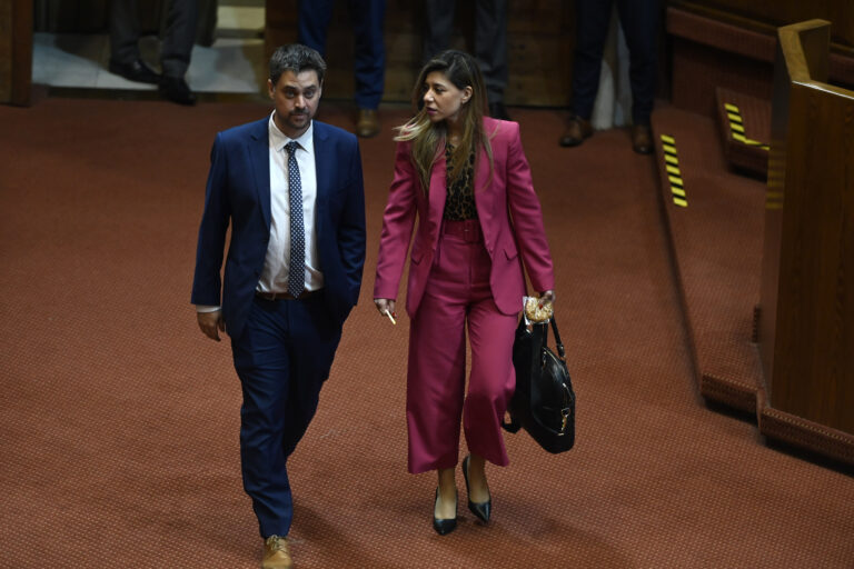 La pareja fiscalizadora que se afianza en el Congreso: Daniela Cicardini y Daniel Manouchehri ganan sus respectivas elecciones