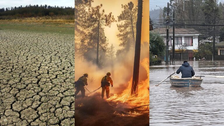 Estudio respaldado por 15 mil científicos advierte que la Tierra está 