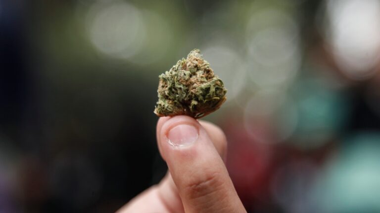 Delegado electoral sorprendido consumiendo marihuana en Tarapacá