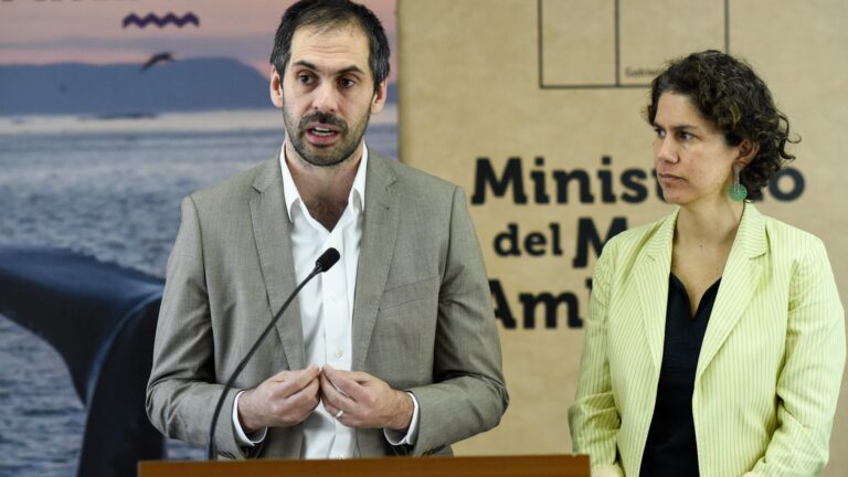 Proyecto Dominga: El futuro del Comité de Ministros tras fallo del Tribunal Ambiental