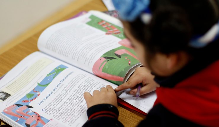 44% de los chilenos no alcanza estándares básicos en lectura, matemáticas y resolución de problemas, según informe de la OCDE