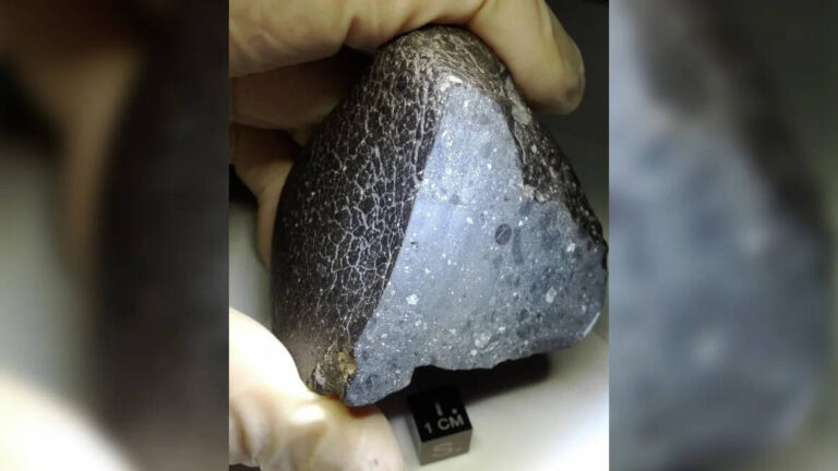 Marte habría tenido condiciones aptas para la vida hace 100 millones de años: Este meteorito lo comprobaría
