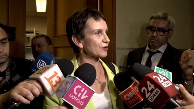 Ministra Tohá y libertad de Pablo Muñoz Hoffman: 