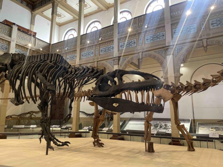 Santiago en 100 Palabras despide enero con actividades gratuitas: Tour por el Museo de Historia Natural, taller de escritura y más