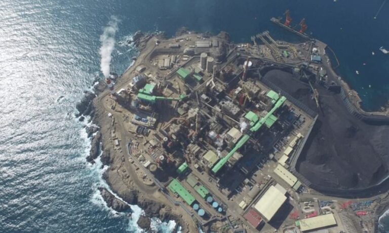 Guacolda Energía lamentó muerte de chungungo y asegura que contrastarán informe con sus propias indagatorias