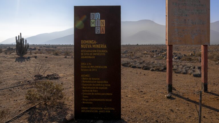 Duro golpe para el gobierno: Primer Tribunal Ambiental ordena al Comité de Ministros volver a votar el proyecto Dominga