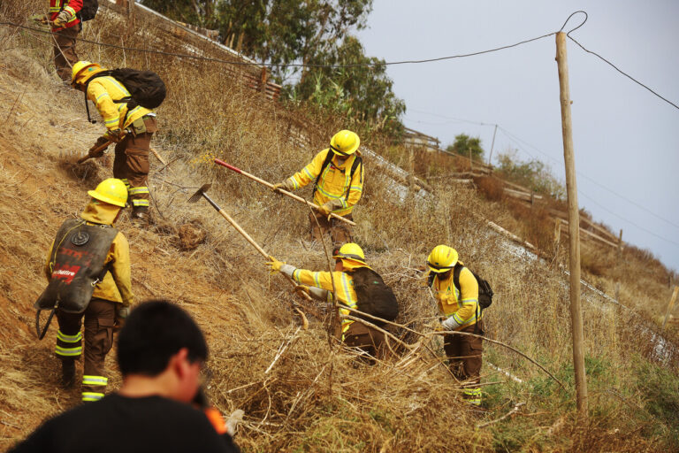 Detenciones por incendios forestales en Ñuble se elevan a 16: Delegado presidencial advierte sobre riesgo de nuevos focos