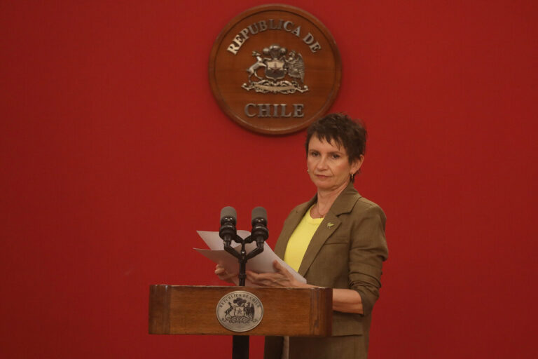 Ministra Tohá tras detención de 