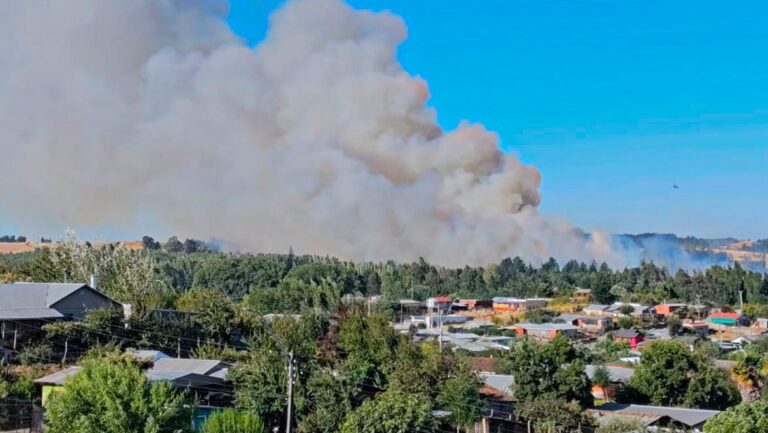 Debate por cierre de parques nacionales en verano para prevenir incendios forestales