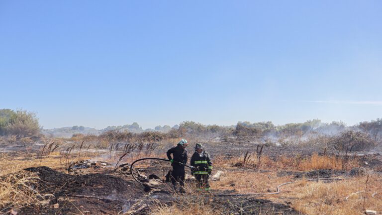 Incendios forestales azotan a la zona centro-sur de Chile