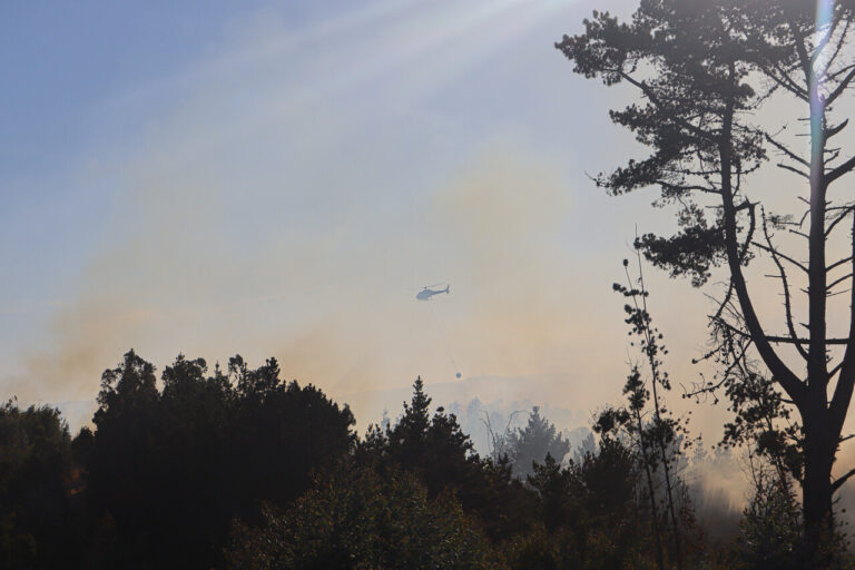 Incendio forestal: Senapred ordena evacuación en 15 sectores de Galvarino, Región de La Araucania