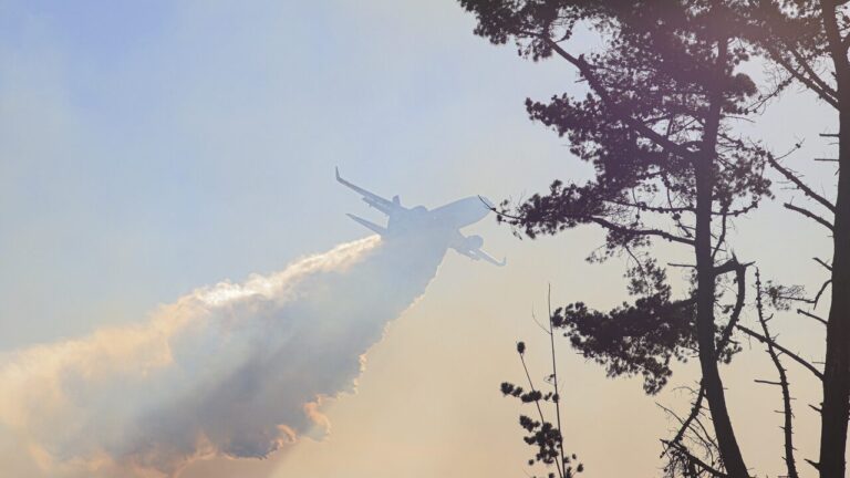 Incendio forestal en Argentina está en el límite con territorio chileno: Conaf dispuso recursos aéreos para su combate