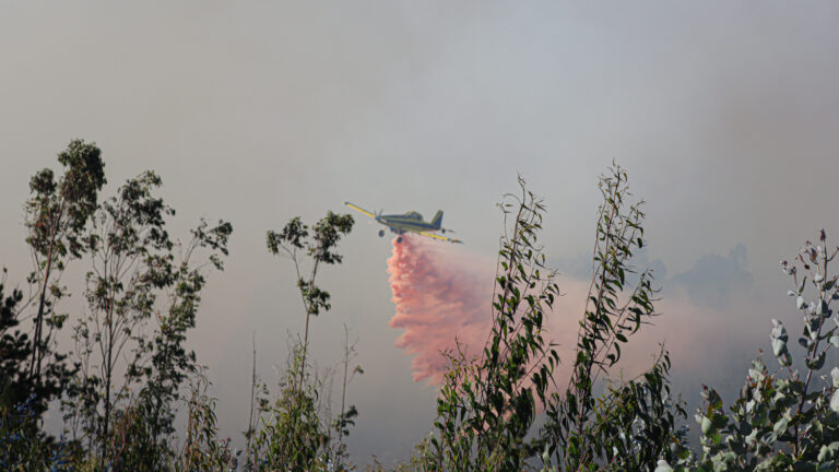 SENAPRED: Ola de incendios forestales con 15 focos activos deja un fallecido y decenas de damnificados