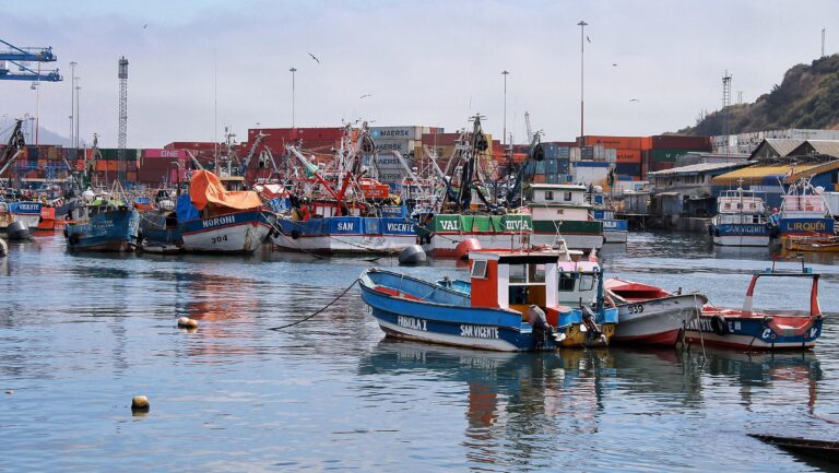 Armada confirma hallazgo de cuerpos de pescadores desaparecidos tras naufragio en Talcahuano
