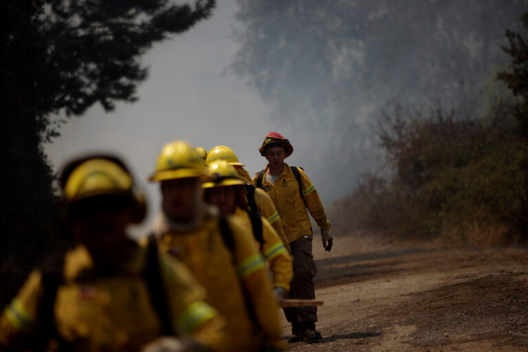 Senapred declara alerta amarilla para Cartagena por incendio forestal