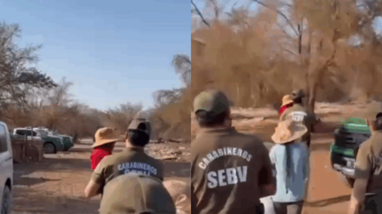 Encuentran con vida a niño de dos años que se había perdido en Pozo Almonte mientras su familia pastoreaba