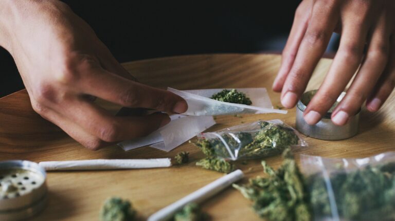 Estudio revela que consumo frecuente de marihuana reduce actividad cerebral en áreas clave para la toma de decisiones y memoria