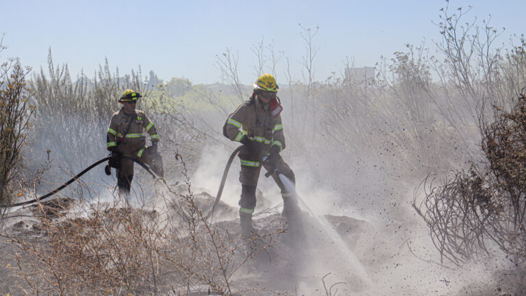 Incendio forestal obliga evacuación en sector Hacienda San Enrique de Santo Domingo