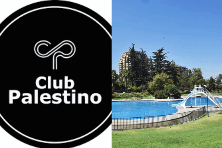 Club Palestino sufre revés judicial: Justicia le ordena paralizar obras de traslado de canchas por recurso de Las Condes