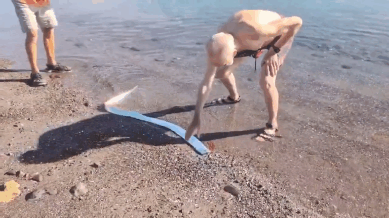 ¿Presagio de un desastre?: Pez remo aparece en la costa y reaviva mitos sobre terremotos