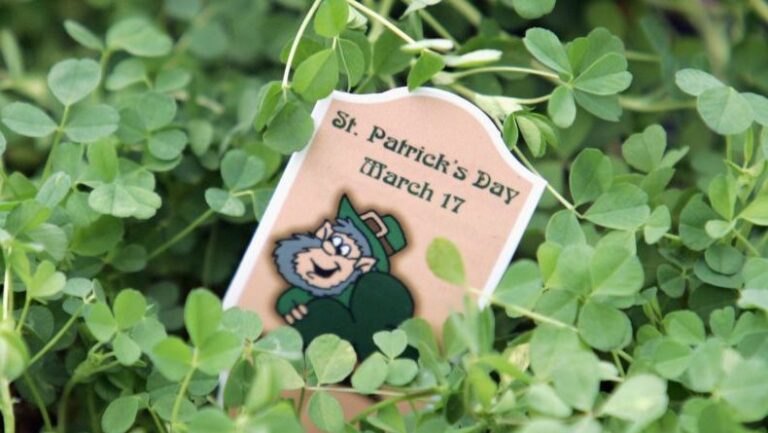 Día de San Patricio en Chile: Eventos y bares para disfrutar la festividad irlandesa