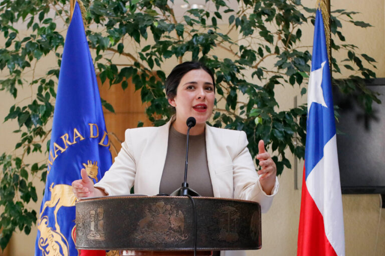 Karol Cariola denuncia violación de derechos tras allanamiento en su hogar y anuncia recurso ante la CIDH