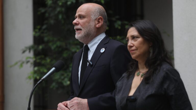 ¿Por qué Macarena Lobos entraría como subrogante y no ministra? Estos son los factores que quedan por resolver