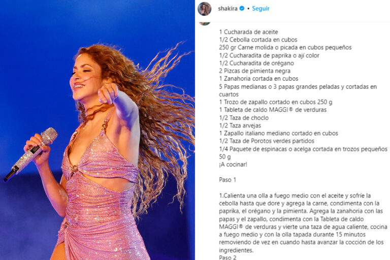 Gran molestia entre fans de Shakira tras suspensión de concierto en Santiago: Hasta comenzaron a comentarle recetas