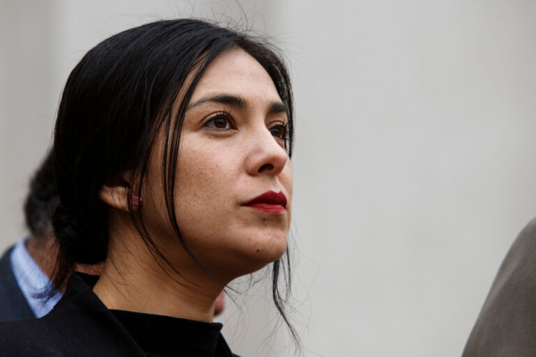 Reflotan antiguo tweet de Karol Cariola donde afirmó que diputados vinculados a actos de corrupción 