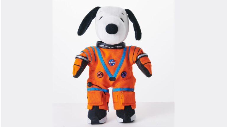 NASA abre concurso para diseñar peluche que viajará a la Luna: Premio será de más de un millón de pesos