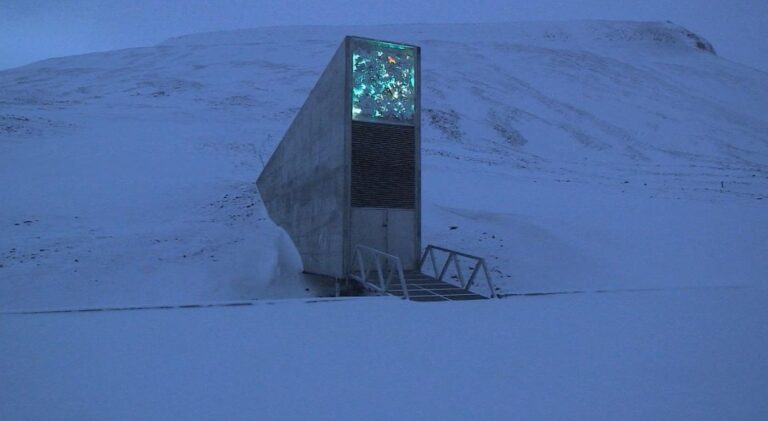 La participación de Chile en la 
